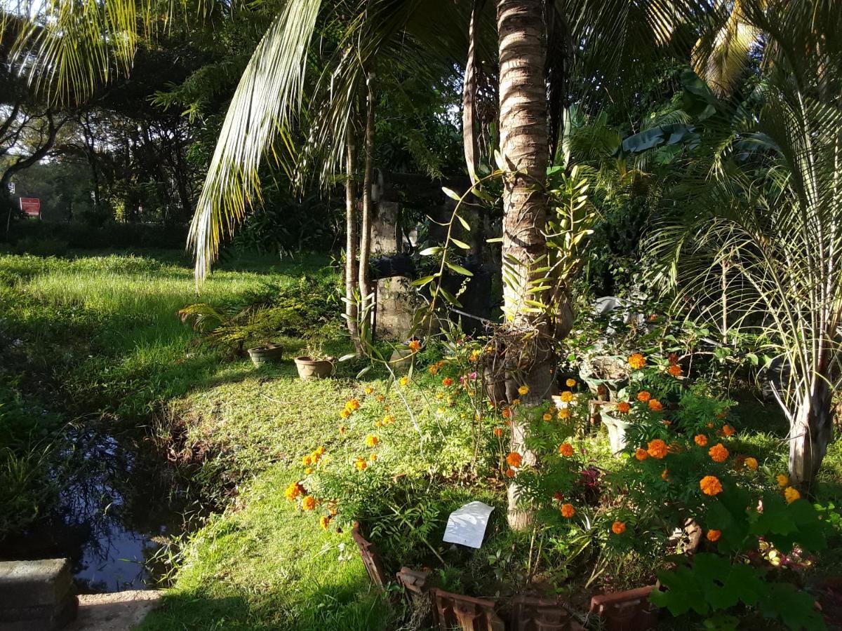 Asiri Homestay سيغيرِيا المظهر الخارجي الصورة